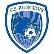 Logo de BIERGES